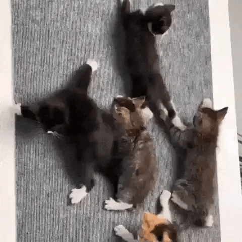 ScratchyPatch™