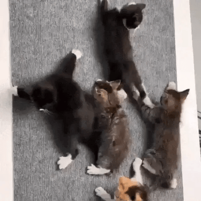 ScratchyPatch™