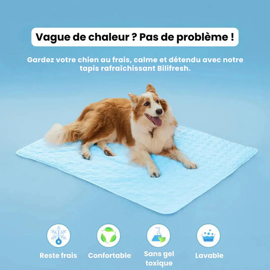 Tapis rafraîchissant - Freshpad
